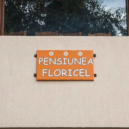 Pensiunea Floricel Stoenesti  Exterior photo